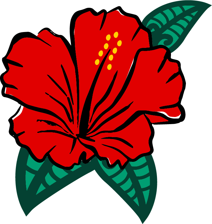 Red hibiscus flower. The new logo of Island Breeze Ministries Missouri, (previously known as Island Breeze IWT.) They are a traveling performing arts group with a NEW WEBSITE here in 2024.